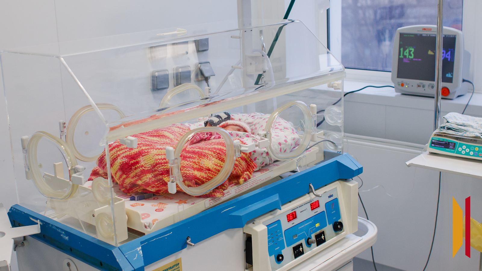 Фото — Виктория Курляндская (из архива)