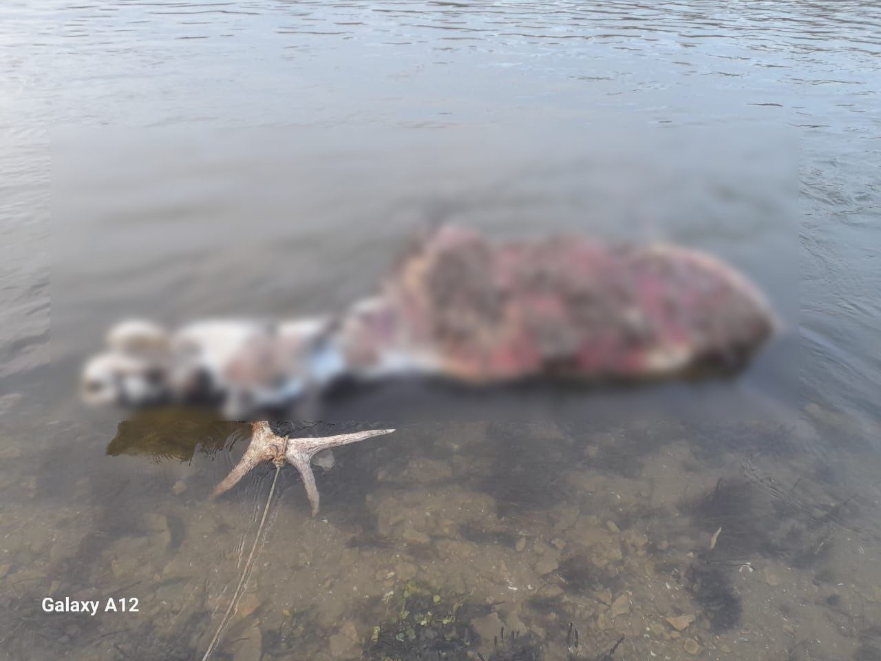 t.me/dobrovolets_net t.me/dobrovolets_net