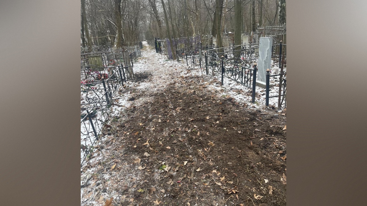 предоставлено управлением информации мэрии Воронежа предоставлено управлением информации мэрии Воронежа