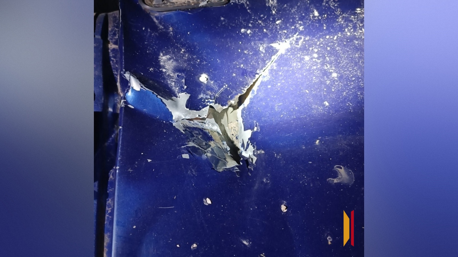 предоставлено читателем РИА «Воронеж».