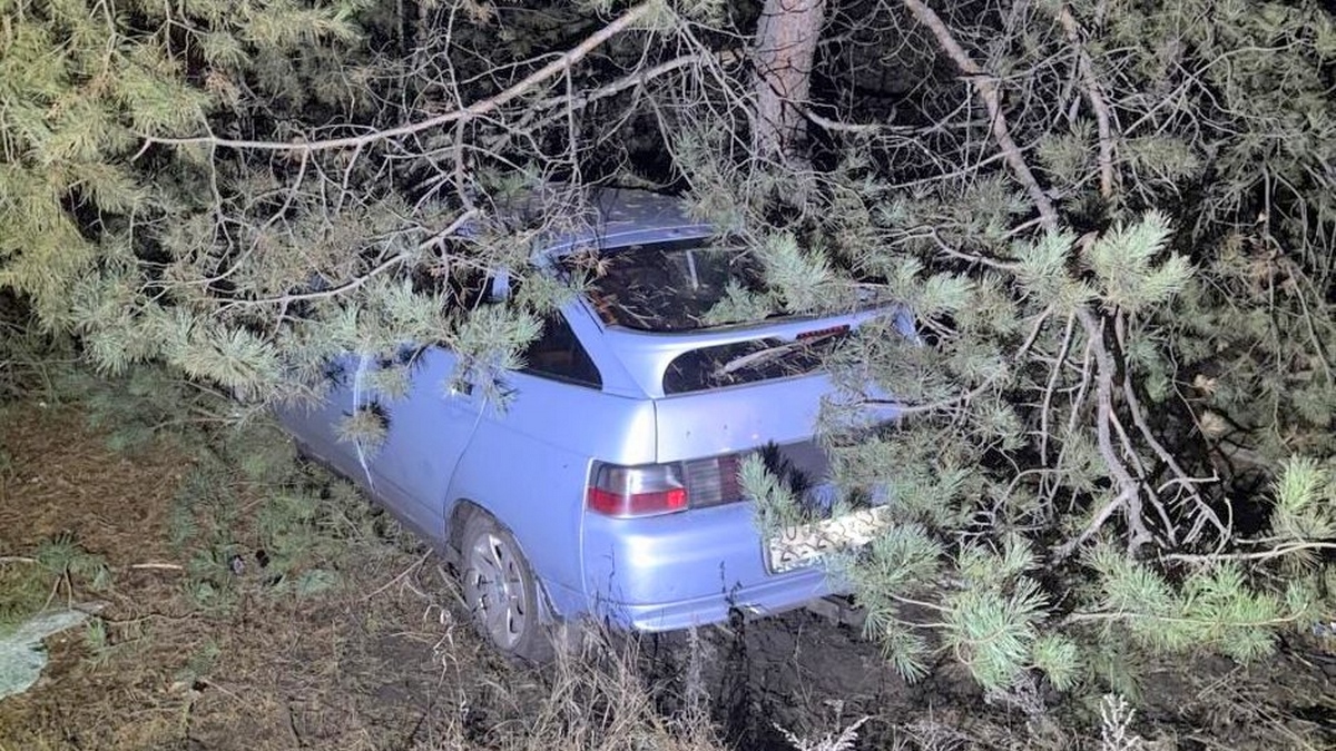 Фото предоставлено ГАИ по Терновскому району