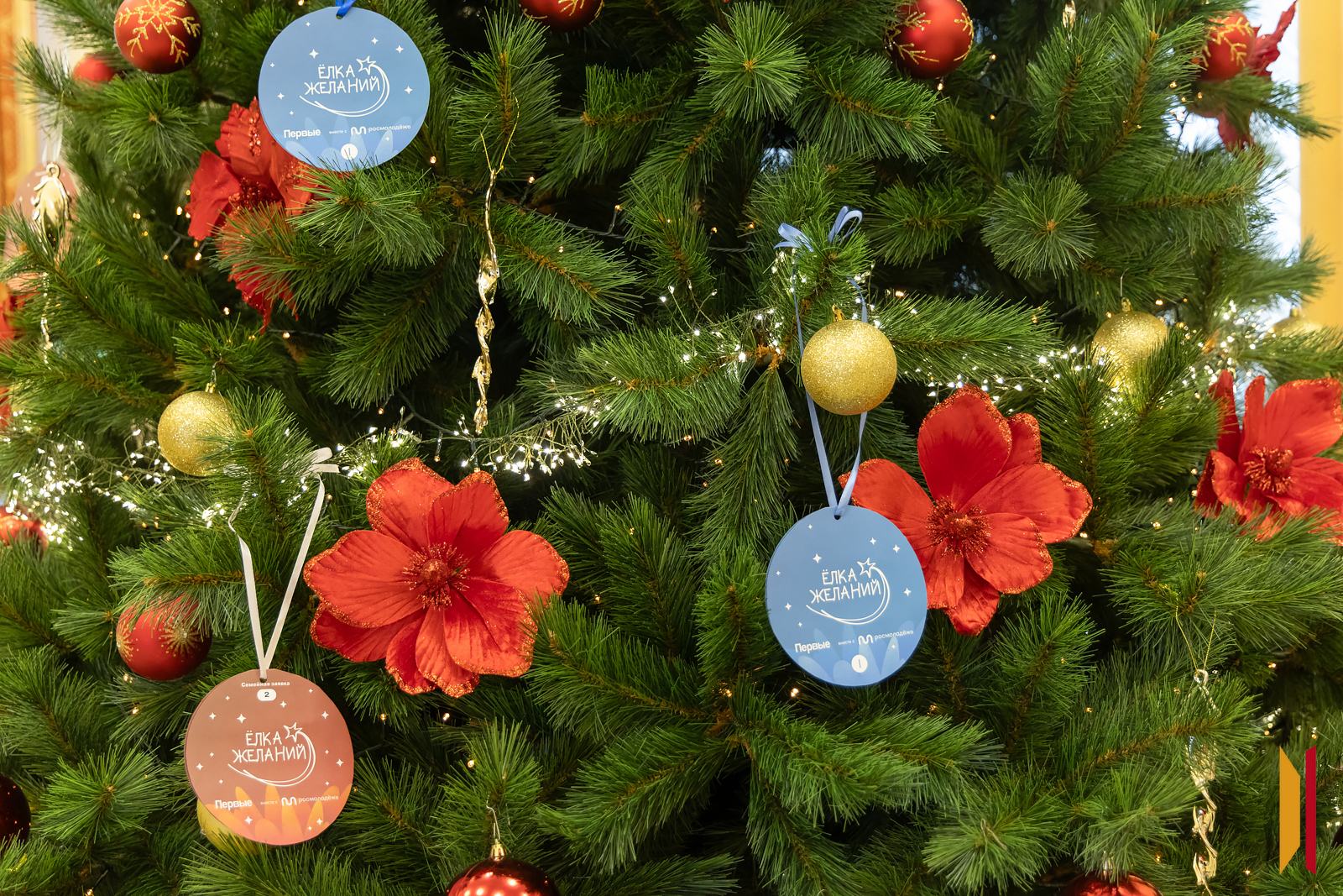 Фото — Сергей Трифонов (из архива)