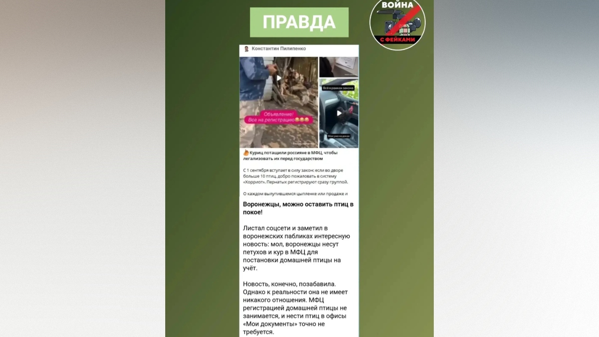 max.ru/channel_wsf36 max.ru/channel_wsf36