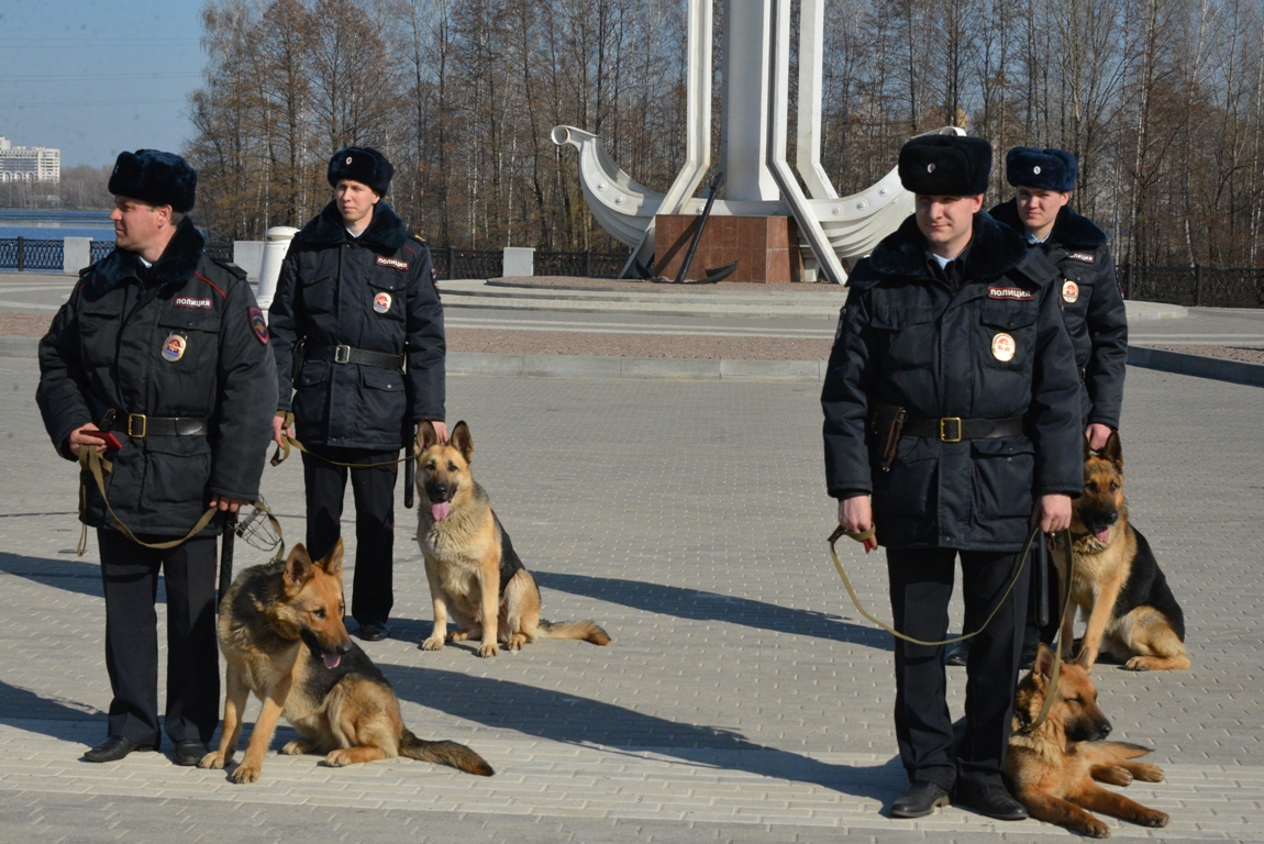 Полицейская собака нашла вора по следам под Воронежем