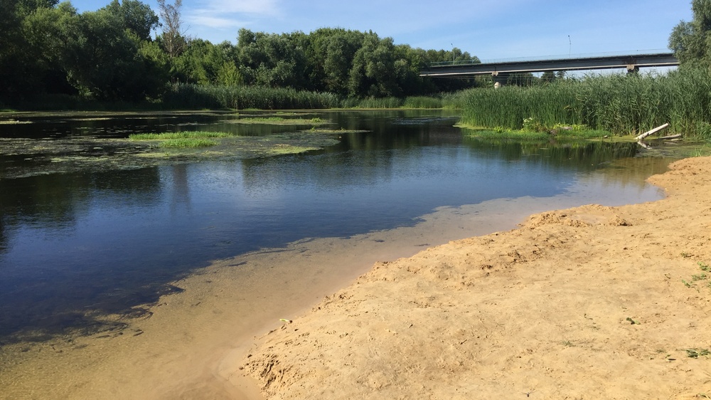 Вода острогожск. Река Тихая сосна Воронежская область. Река Тихая сосна Острогожск. Озеро Кривое Рамонь. Острогожск пляж Тихая сосна.