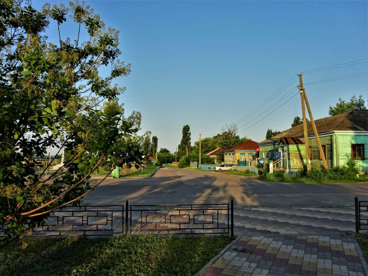 Огород на Красной площади. Чем живет воронежская улица, названная в честь  символа России