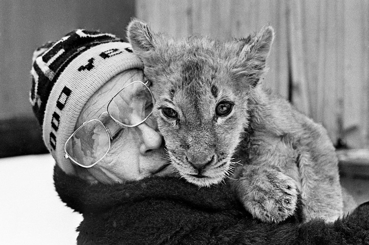 Конец века. Нападение льва на ребенка и тонна колбасы в воронежском лесу