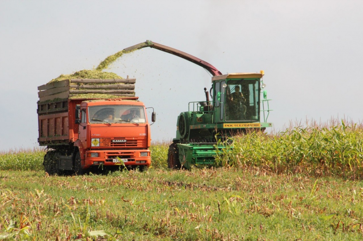 Лиски совхоз лискинский. Воронежская область лискинский спк. Спк лискинский. Спк лискинский. Воронежская область лискинский спк.