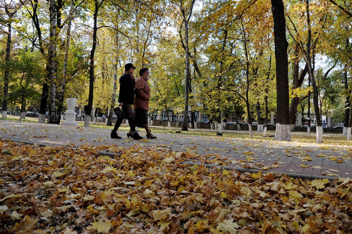 Куда в октябре. Куда сходить в Воронеже на выходных.