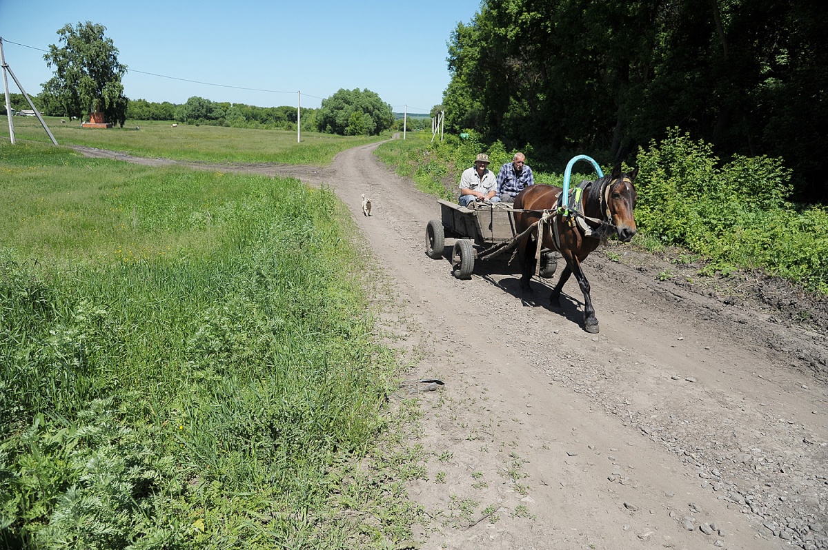 Погода данило воронежской. Грань село Воронежская область.