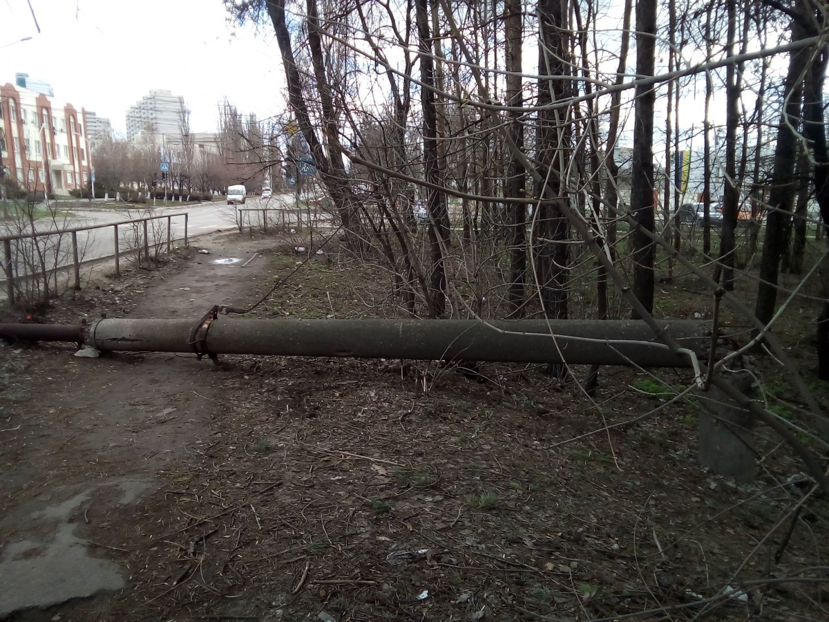 В парке на Южных воротах хозяева батутов сделали из дерева фонарный столб. Фото