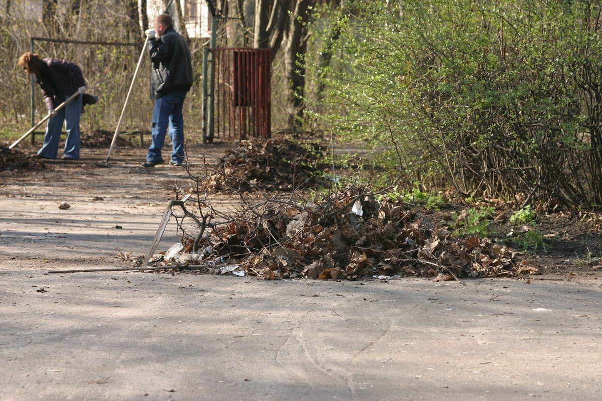 Воронежцев пригласили на субботник 2 сентября