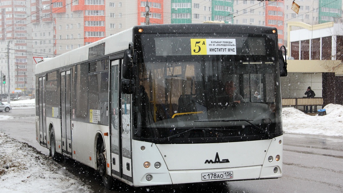 В Воронеже на маршрут №5А вышли три новых «МАЗа»