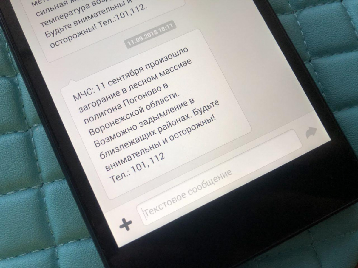 Воронежское МЧС разослало SMS о возможном задымлении из-за пожара на  «Погоново»