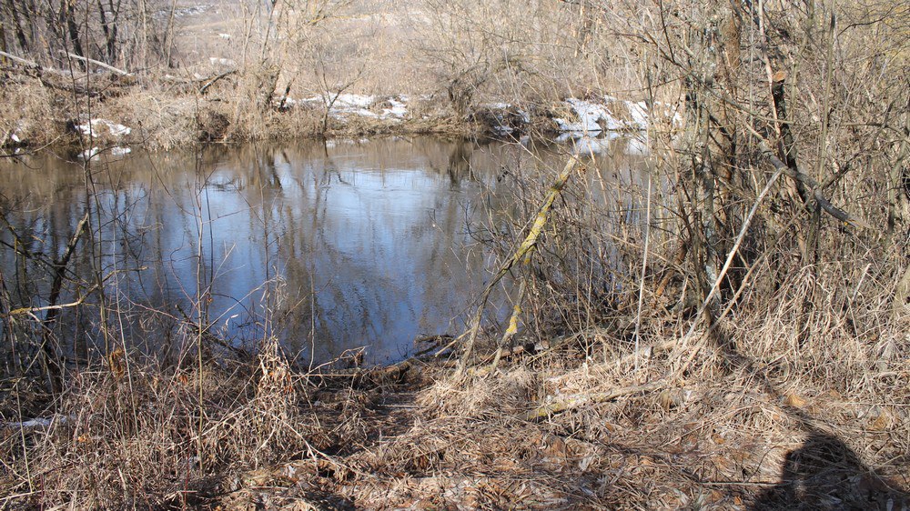 Село Воронежское Ставропольский край. Село Красноселовка Воронежская область. Красноселовка озеро.