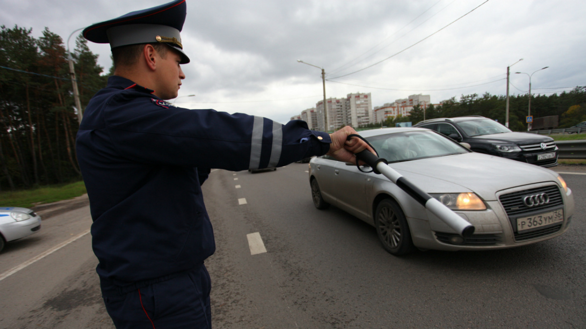 Воронежская полиция назвала фейком опубликованный в соцсетях график  проверок ГИБДД