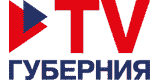 ТВ Губерния Воронеж