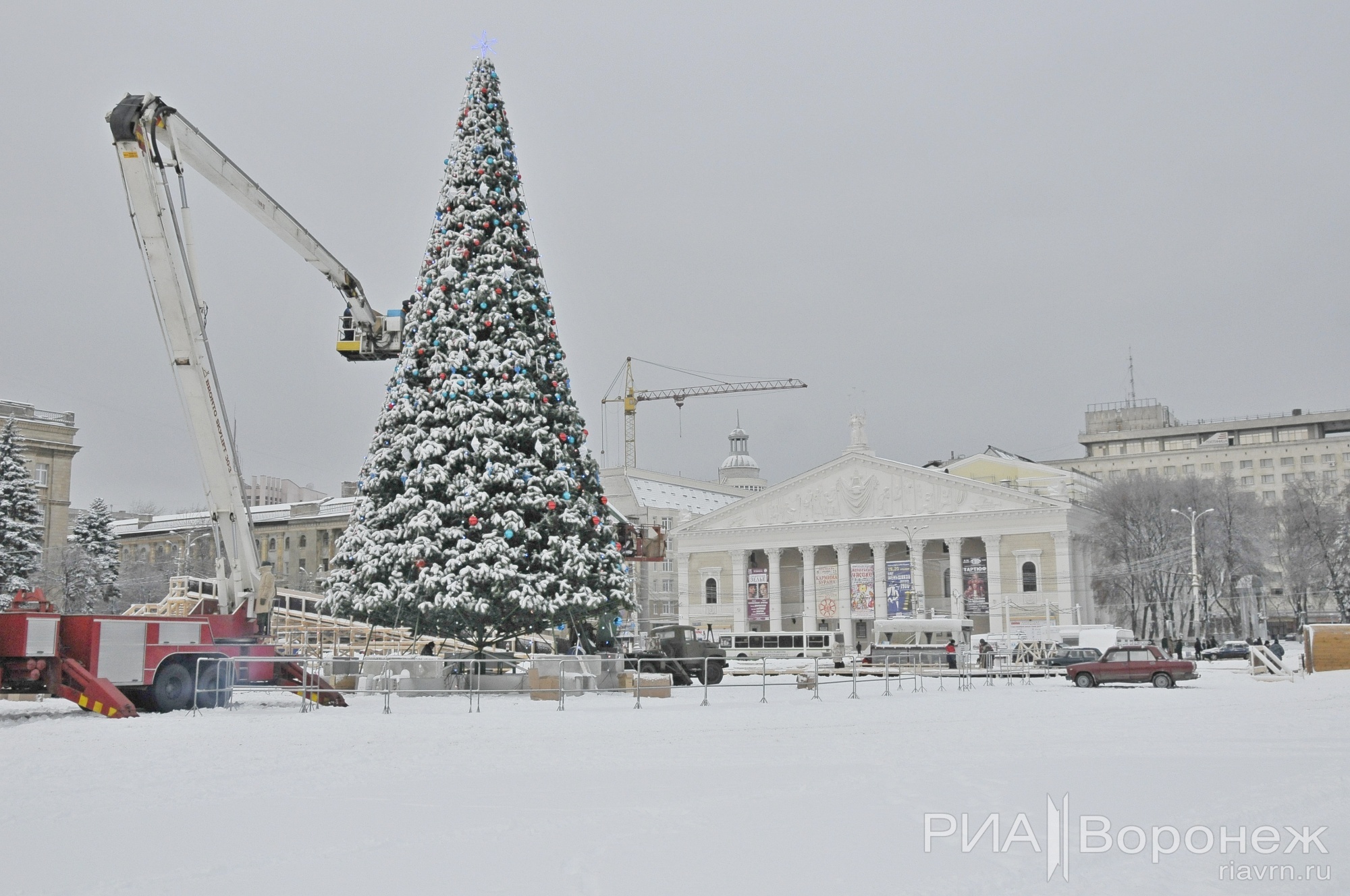 жук анатолий филиппович стелла