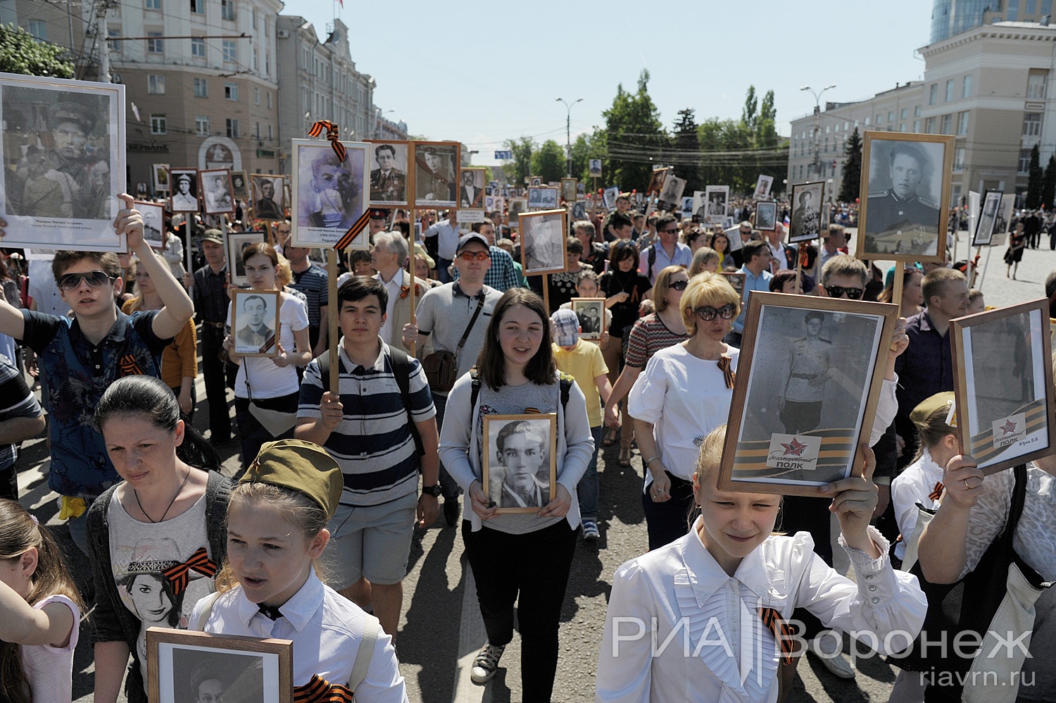 Жители воронежа. Бессмертный полк Воронеж Володин. Воронежский Бессмертный полк 9 мая. Бессмертный полк Воронеж фото.