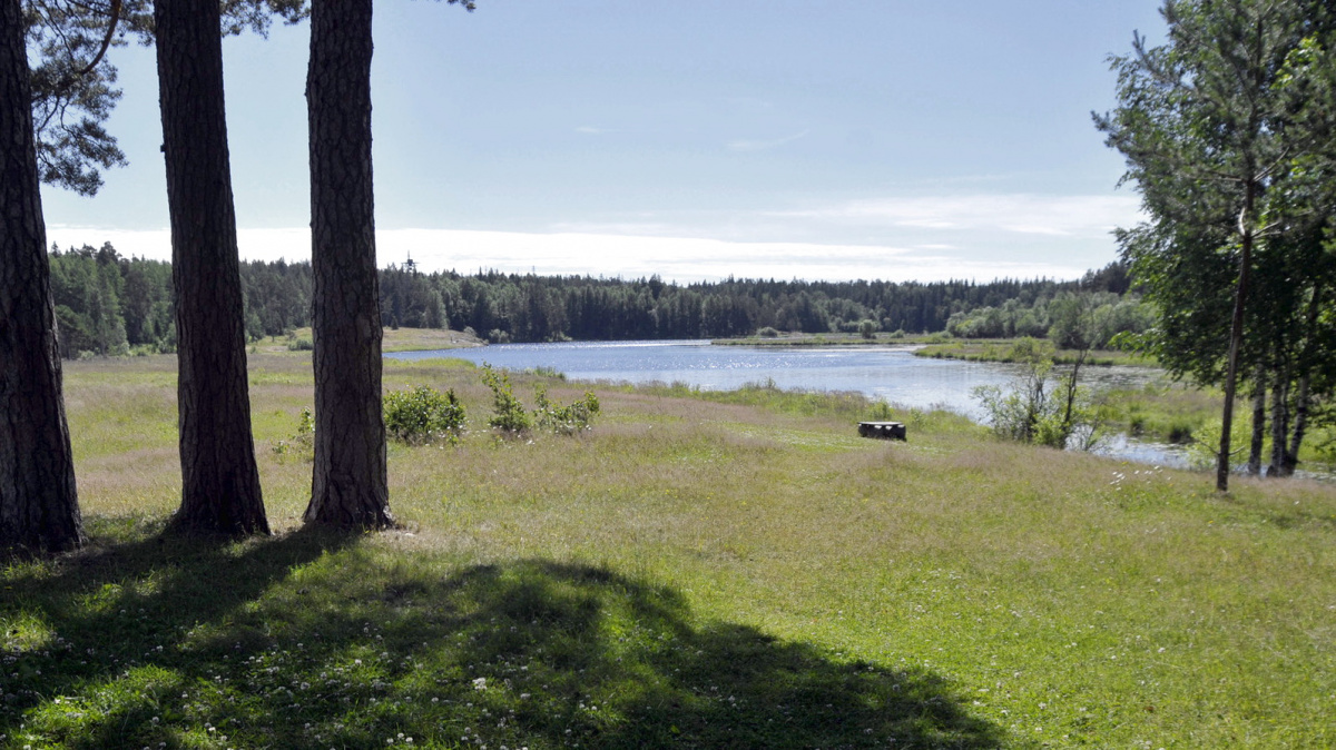 Село Нелжа Рамонского района