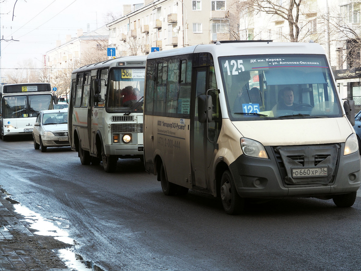 Автобусы маршрутки воронеж