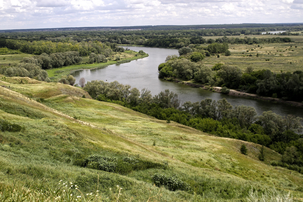 Река дон воронеж фото