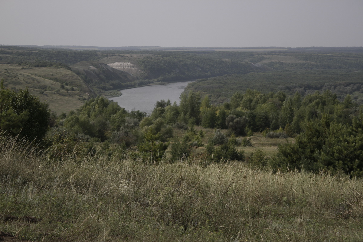 Воронежская область 36. Сельские территории Воронежской области. Исчезнувшие села Воронежской области Ольховатка. Распечатать природа Верхнемамонского. Разлив Дона 2021 в Воронежской области Верхнемамонский район.