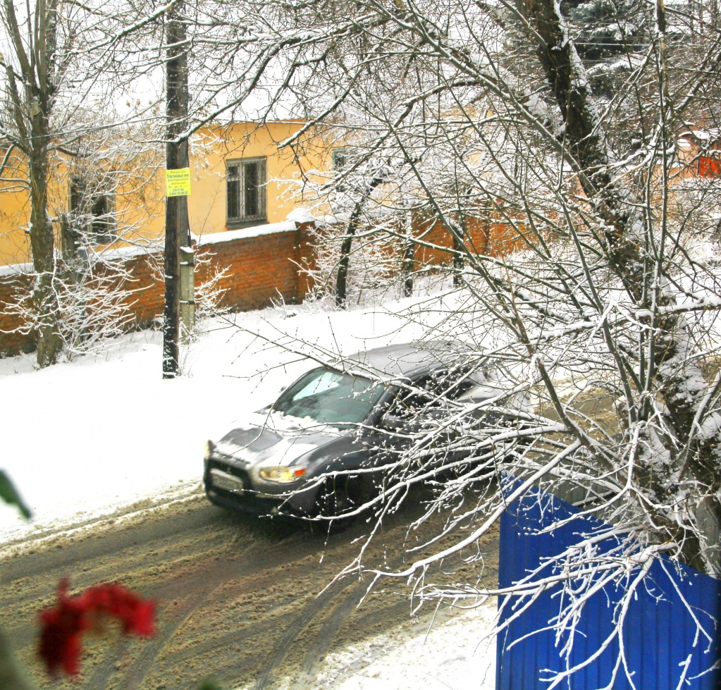 Прогноз погоды семилуки на 10 дней. Снег выпал в Новошахтинске. Погода в Семилуках. Погода Семилуки сегодня. Погода на завтра в Семилуках.