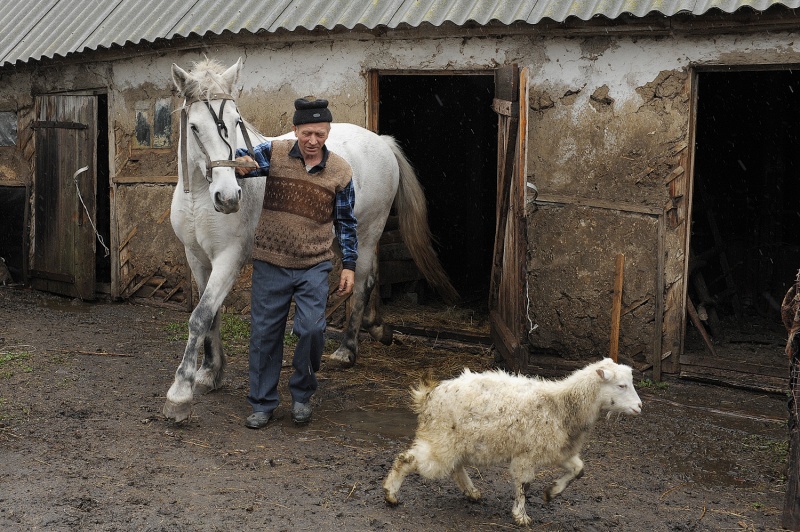 Алексеевский(Новохоп)_112.JPG