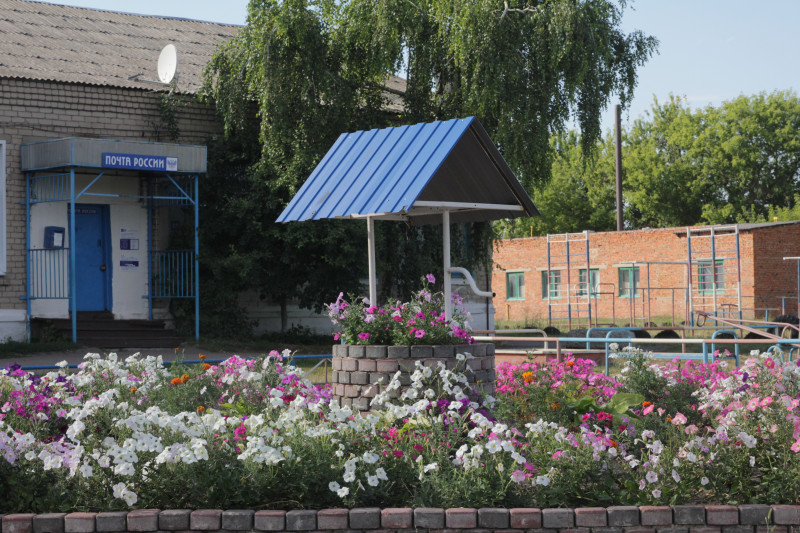 село в Воронежской области почта цветы