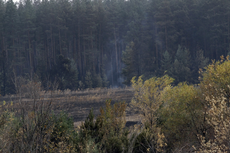 лесной пожар Павловский район