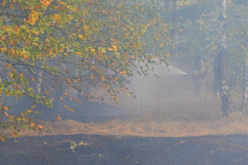 Лндшафтные пожары Воронежской области