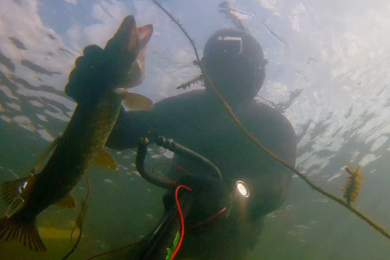 охота под водой рыба Воронежская область