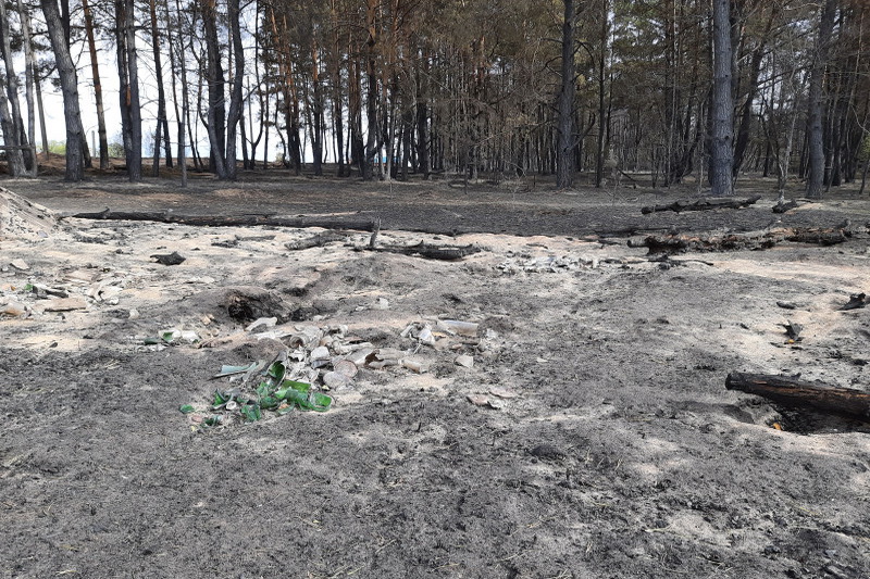 сгоревший лес под Воронежем