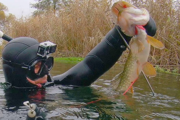 Воронежская река рыба подводная охота 