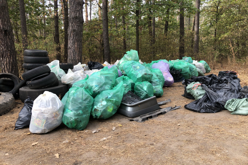 Воронеж экоквест сбор мусора