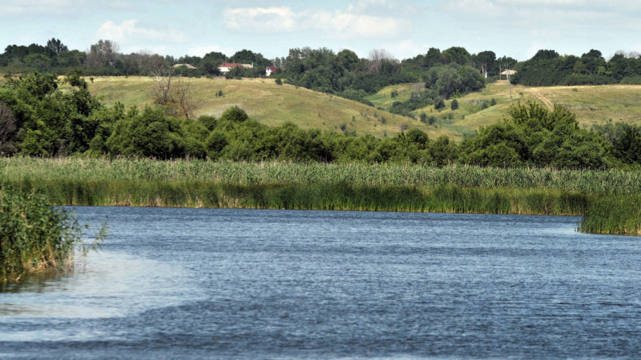 Село Нелжа Воронежская область