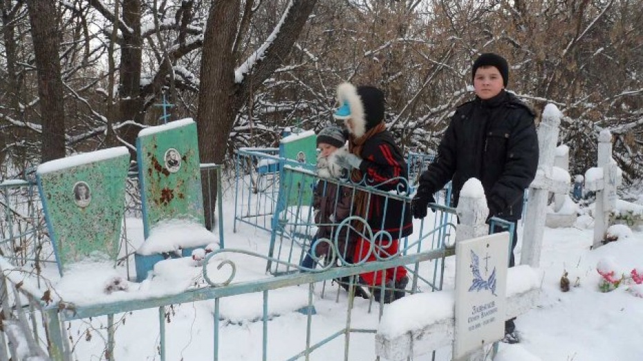 Погода данило воронежской