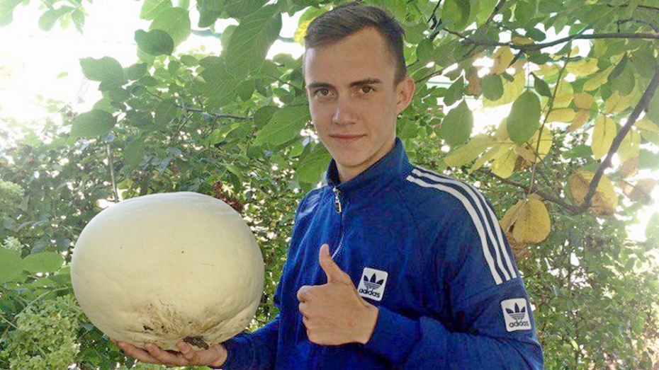 В Лискинском районе сельчанин нашел 2-килограммовый гриб дождевик
