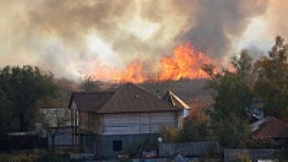 Погода бобры воронежская область на 10 дней. Пожар в Боброве. Подар Бобров. Город Бобров пожар. Пожар в Боброво.