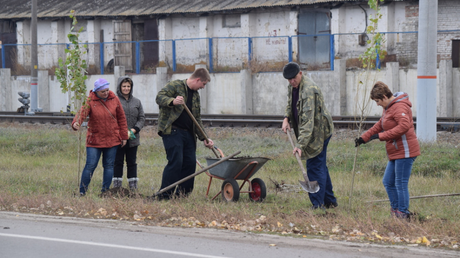 Рп подгоренский воронежская область