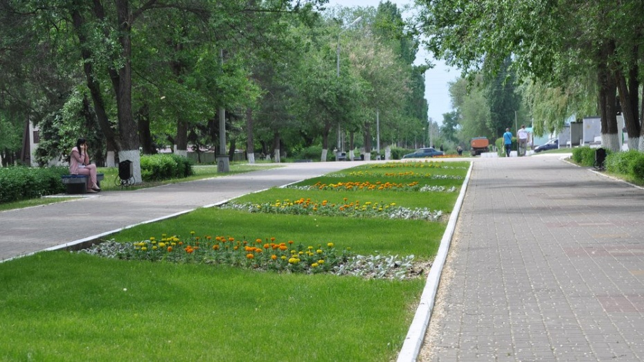 Ленинский парк Павловск Воронежская область осень