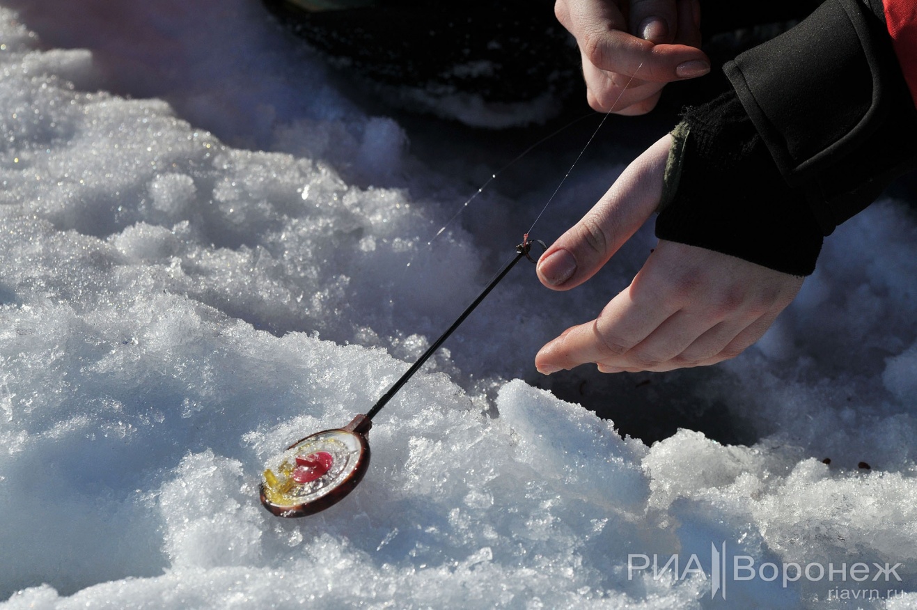 Кубок по зимней рыбалке